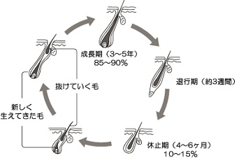 ritumoukin-4.jpg